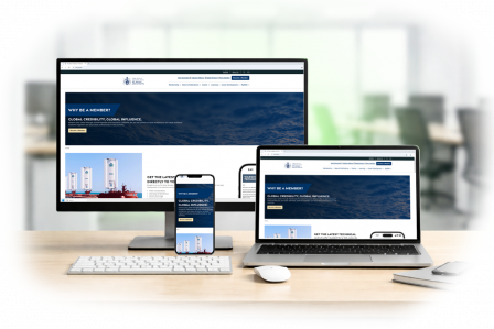 RINA website mockups